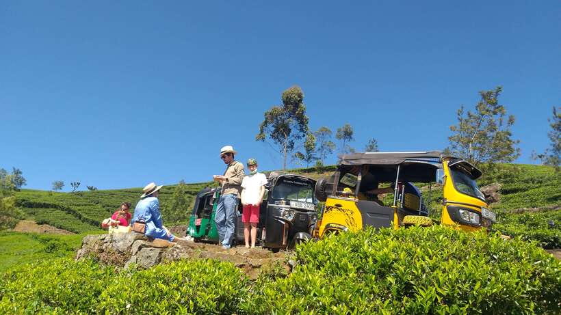 Haputale:Glorious Tuk Tuk Ride to Lipton'sSeat & Tea Factory - Understanding tea at Dambatenne Factory