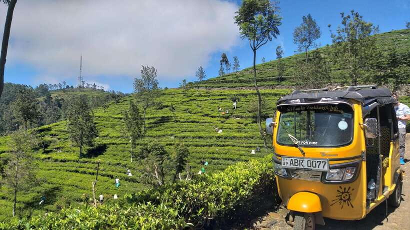 Haputale:Glorious Tuk Tuk Ride to Lipton'sSeat & Tea Factory - Guide style and private group benefits