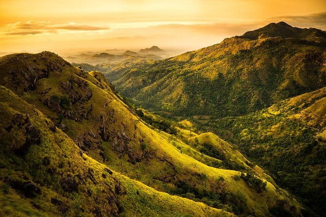 Haputale Tea Estate Walking Tour From Ella - Who will enjoy this tea estate walk?