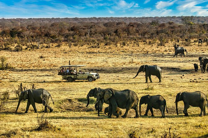 High Tea in the Savannah, Catering by Victoria Falls Hotel - The sunset ride back through the bush