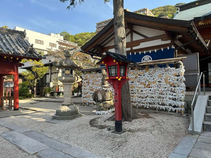 Hiroshima: Morning Hiking Tour with Open-air Tea Ceremony - What the morning feels like in practice