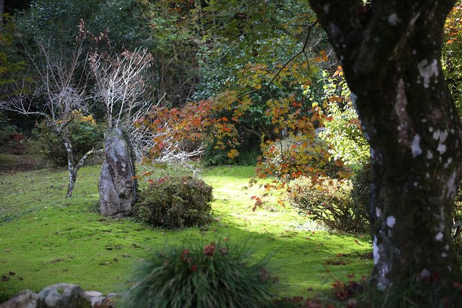 Home Experience: Tea Ceremony & Moss Garden Walk(Day trip) - Choosing between the river and the forest