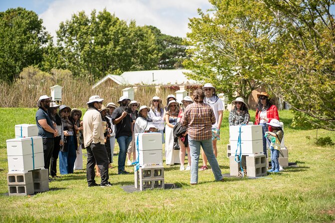 Honey Farm Tour. Morning Tea. Guided Tasting - Six things to know before booking