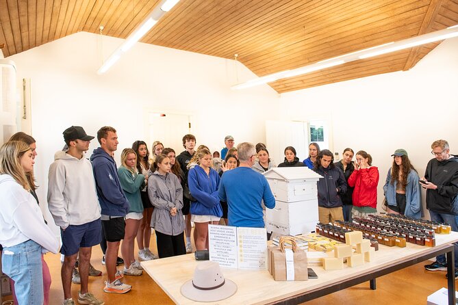 Honey Farm Tour. Morning Tea. Guided Tasting - Six honeys on the Retford Park terrace