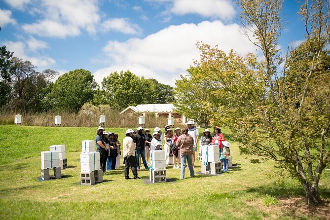 Honey Farm Tour. Morning Tea. Guided Tasting - Weather, clothing and practical limits