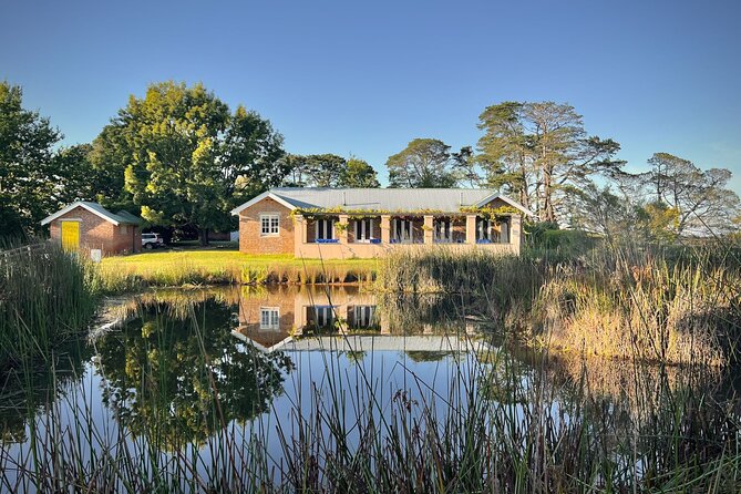 Honey Farm Tour. Morning Tea. Guided Tasting - The empty Flow Hive demonstration