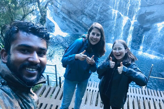 Horton Plains-World's End Tour and Tea Factory Tour From Nuwaraeliya - The Damro Labookellie tea factory visit