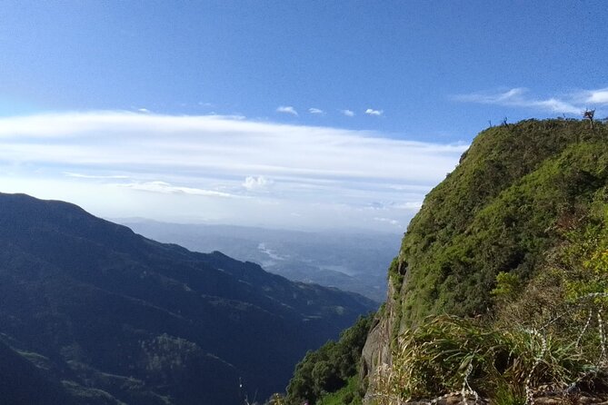 Horton Plains-World's End Tour and Tea Factory Tour From Nuwaraeliya - Reaching World’s End before the clouds