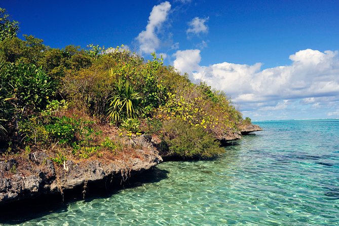Ile aux Aigrettes - Tea Route - Gris Gris Private Guided Tour (Min. 2 persons) - Key points at a glance