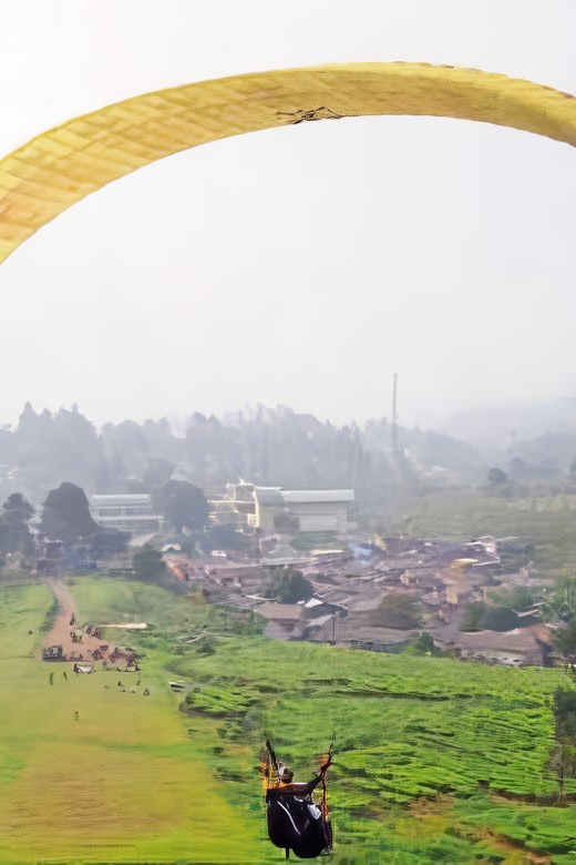 Jakarta: Paragliding on Top Mountain & Tea Plantation - Gunung Mas tea plantation gives the flight its setting