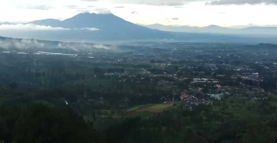 Jakarta: Paragliding on Top Mountain & Tea Plantation - Two hours in Bogor before the flight
