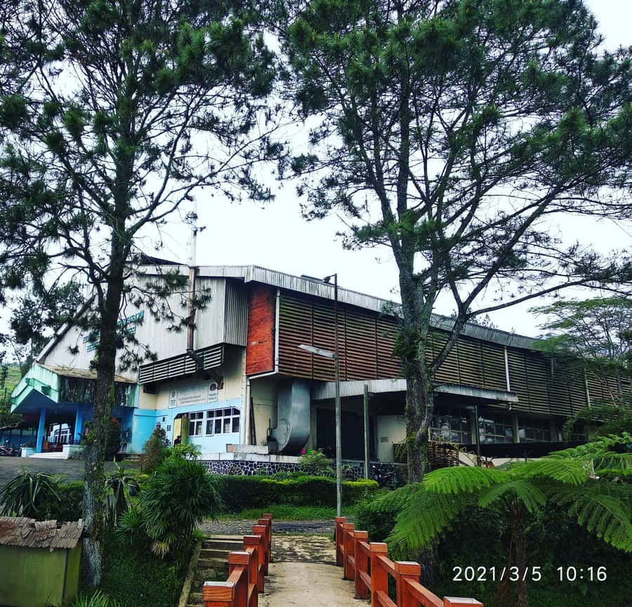 Jakarta :Volcano, HotSpring, Tea Factory, RiceField, &Coffee - Why This Tour Works As a Jakarta Escape