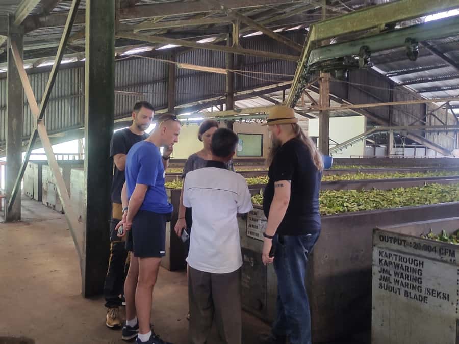 Jakarta :Volcano, HotSpring, Tea Factory, RiceField, &Coffee - Soaking at Sari Ater Hot Spring