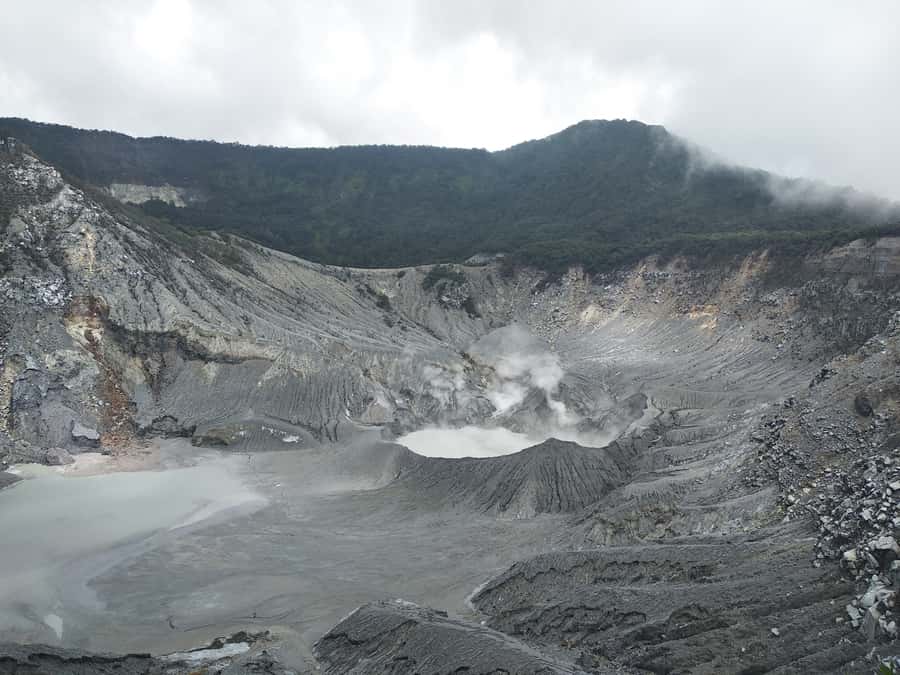 Jakarta :Volcano, HotSpring, Tea Factory, RiceField, &Coffee - Pineapples and Rice Fields Near Subang