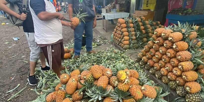 Jakarta: Volcano, Tea/Rice Fields, Hot Spring, Local Food - Ciater hot springs and the final hour of relaxation