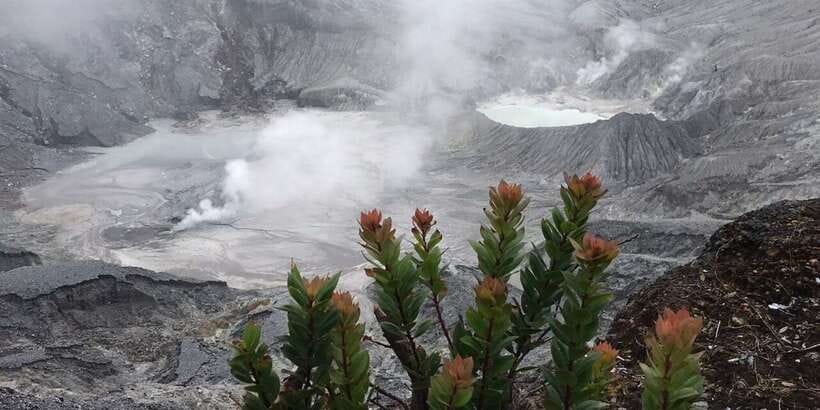 Jakarta: Volcano, Tea/Rice Fields, Hot Spring, Local Food - Why this makes sense as a Jakarta day trip