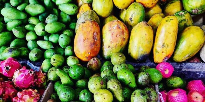 Jakarta: Volcano, Tea/Rice Fields, Hot Spring, Local Food - Tropical fruit tasting at Fruit Paradise