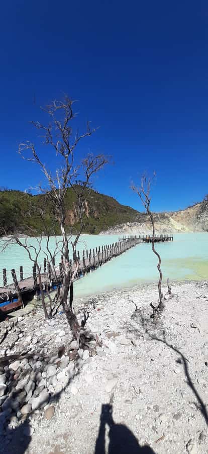 Jakarta: Waterfalls, Volcano, White Crater, Tea, Hot Spring - Key points to know before booking