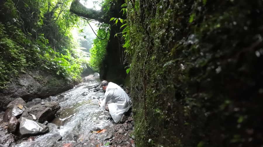 Jakarta: Waterfalls, Volcano, White Crater, Tea, Hot Spring - White Crater, hot springs, and the tea route