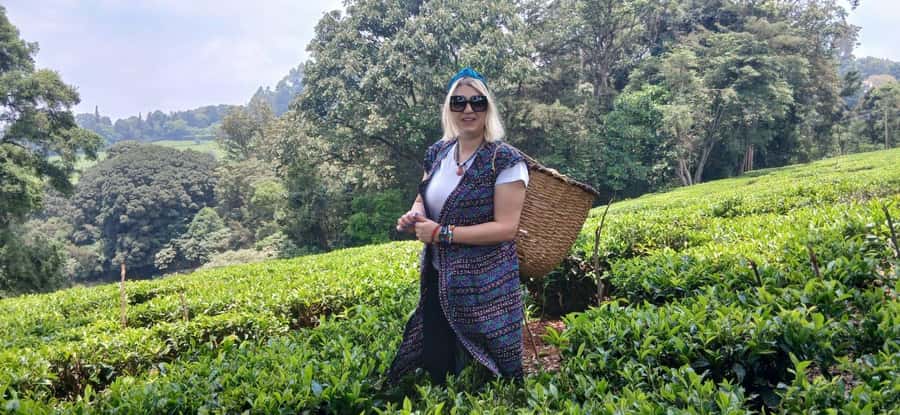Kaimbethu tea farm tour and lunch package - Four reasons this farm visit earns a place on your Nairobi plans