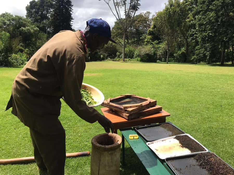 Kaimbethu tea farm tour and lunch package - Leaving Nairobi for Kiambethu’s green hills