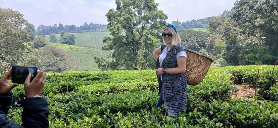 Kaimbethu tea farm tour and lunch package - A farm lunch with homemade desserts
