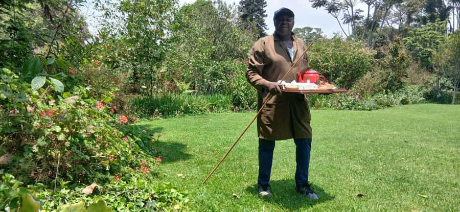 Kaimbethu tea farm tour and lunch package - Group size, guides, and the pace of the day