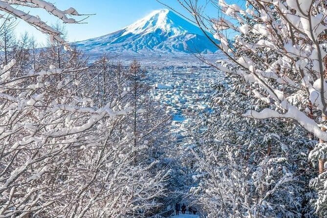 Kamkura: Private Zazen, Matcha at Bamboo Temple & Mindful Cuisine - Transport, Timing, and the Real Cost