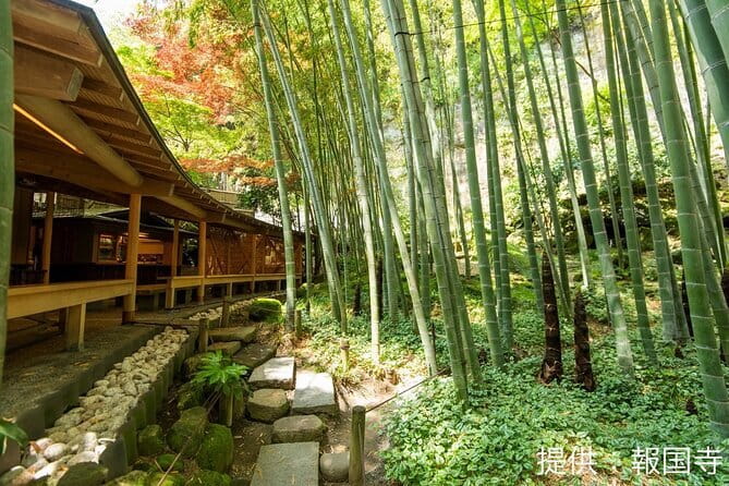 Kamkura: Private Zazen, Matcha at Bamboo Temple & Mindful Cuisine - Who Will Enjoy This Experience Most
