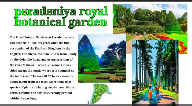 Kandy: City Tour with Temple of the Tooth & Tea Garden - The Temple of the Tooth and Kandy’s sacred center