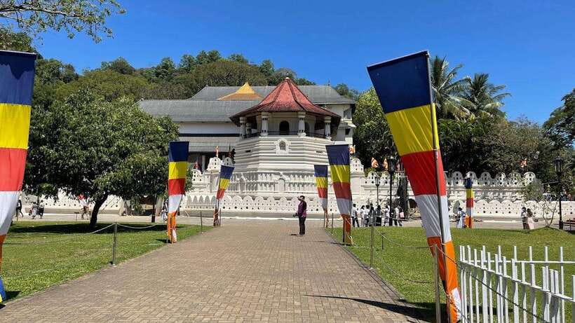 Kandy & Pinnawala & Tea Factory Full Day Tour From Negombo - Key points to know before you book