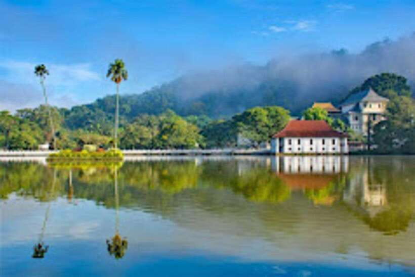 Kandy & Pinnawala & Tea Factory Full Day Tour From Negombo - Tea factory and estate: a strong use of your time
