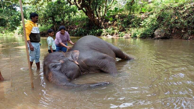 Kandy & Pinnawala & Tea Factory Full Day Tour From Negombo - Railway history at Kadugannawa