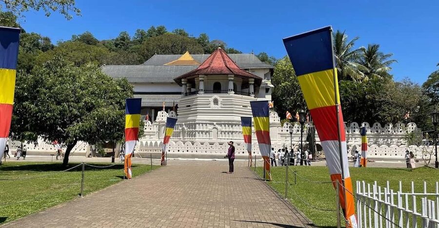 Kandy & Pinnawala & Tea Factory Full Day Tour From Negombo - Royal Botanical Garden in Peradeniya