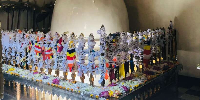 Kandy privet day tour with pinnawala and Tea plantation - Is $47 per person good value?