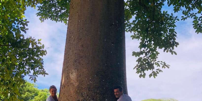 Kandy privet day tour with pinnawala and Tea plantation - Pinnawala Elephant Orphanage in 45 minutes