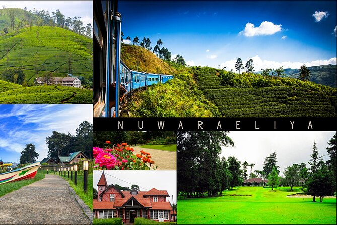 Kandy to Nuwara Eliya Day Trip – Little England & Tea Country - Key points to know before booking