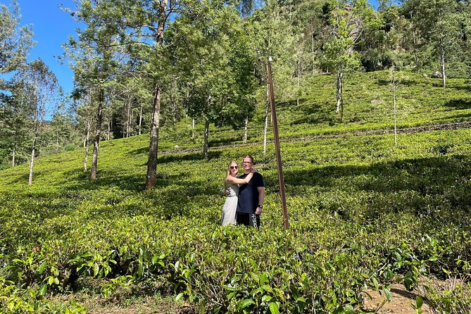 Kandy to Nuwara Eliya Day Trip – Little England & Tea Country - Bluefield Tea Gardens and the working side of tea