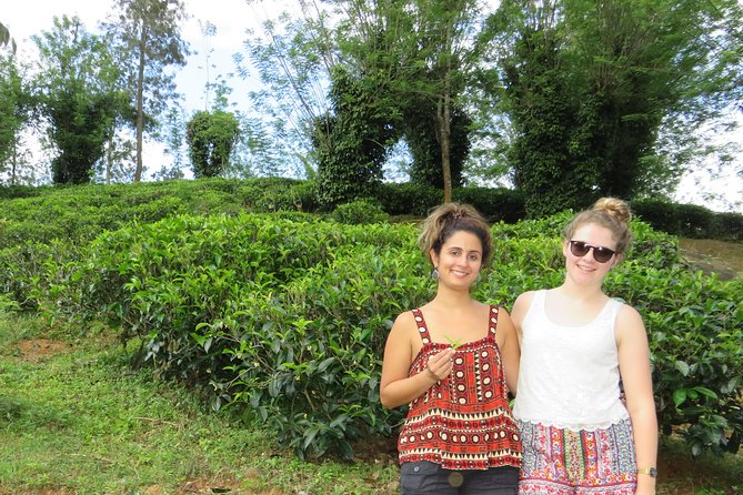 Kandy to Nuwara Eliya Day Trip – Little England & Tea Country - Gregory Lake and Nuwara Eliya’s cool-air character