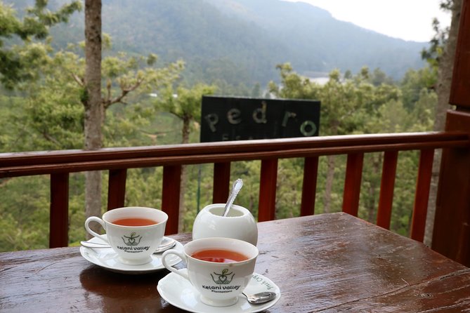 Kandy to Nuwara Eliya Day Trip – Little England & Tea Country - Victoria Park, old bungalows, and the racecourse