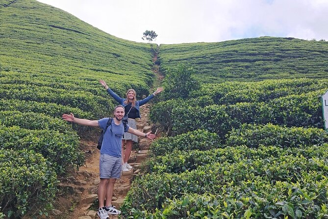 Kandy to Nuwara Eliya Private Day Tour: Tea Factory& Gregory Lake - Tuk-tuk or van: choose based on comfort, not just price