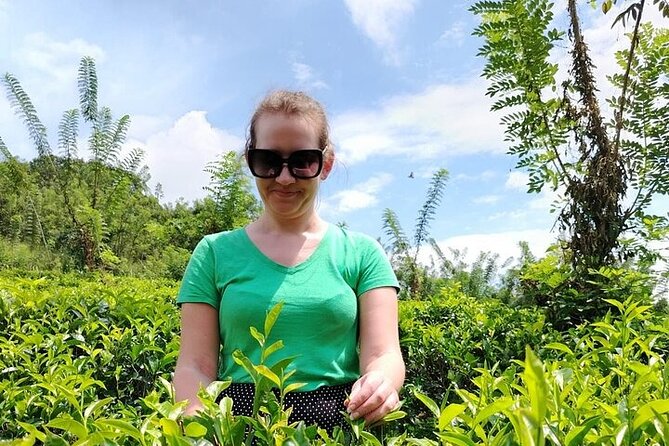 Kandy to Nuwara Eliya Private Day Tour: Tea Factory& Gregory Lake - Ramboda Waterfall gives the route a dramatic first stop