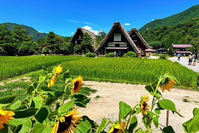 Kenrokuen Tea Ceremony Experience in Kanazawa - Is the $39.40 Price Fair?