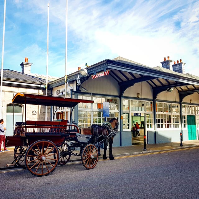 Killarney: Jaunting Car Tour with Afternoon Tea - Practical advice for a smoother outing