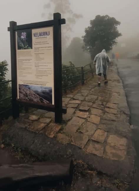 Kochi to Munnar: Eravikulam, lockhart & Waterfalls day tour - Key points to know before booking