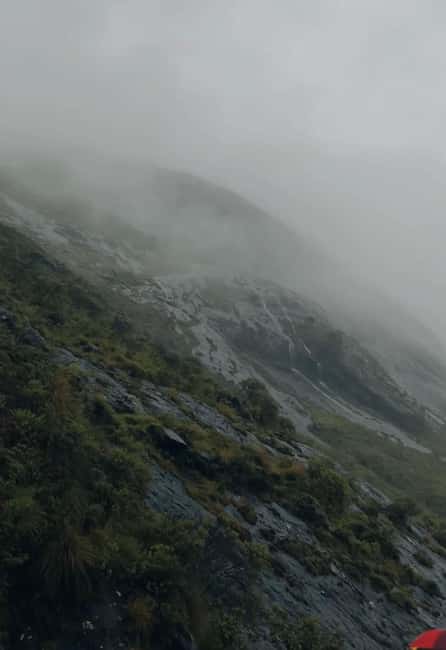 Kochi to Munnar: Eravikulam, lockhart & Waterfalls day tour - Is $85 a fair price from Kochi?
