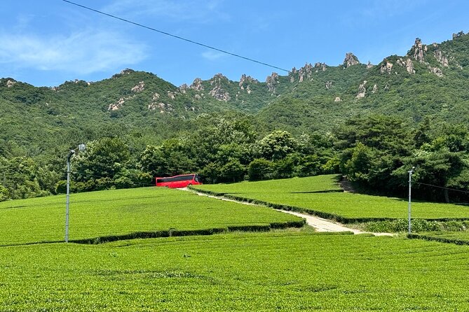 Korean Green Tea Tour - from Boseong to Gangjin (Private) - Daehan Dawon gives you the famous Boseong view