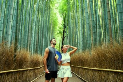 Arashiyama Bamboo Forest, Monkeys, Matcha & Temple Tour
