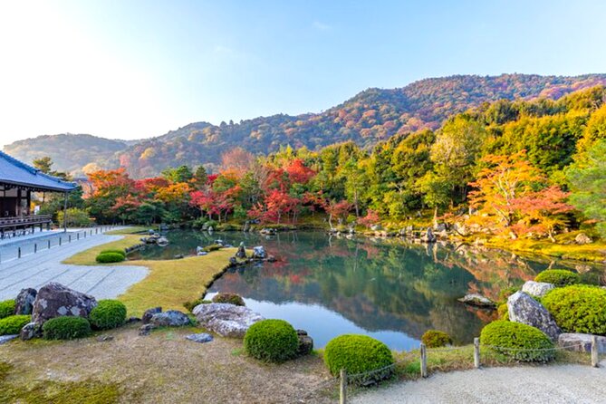 Kyoto: Arashiyama Bamboo, Temple, Matcha, Monkeys & secret spots - The monkey park is the grand finale, with a catch