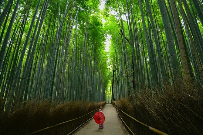 Kyoto: Arashiyama Bamboo, Temple, Matcha, Monkeys & secret spots - The guides are the tour’s biggest strength